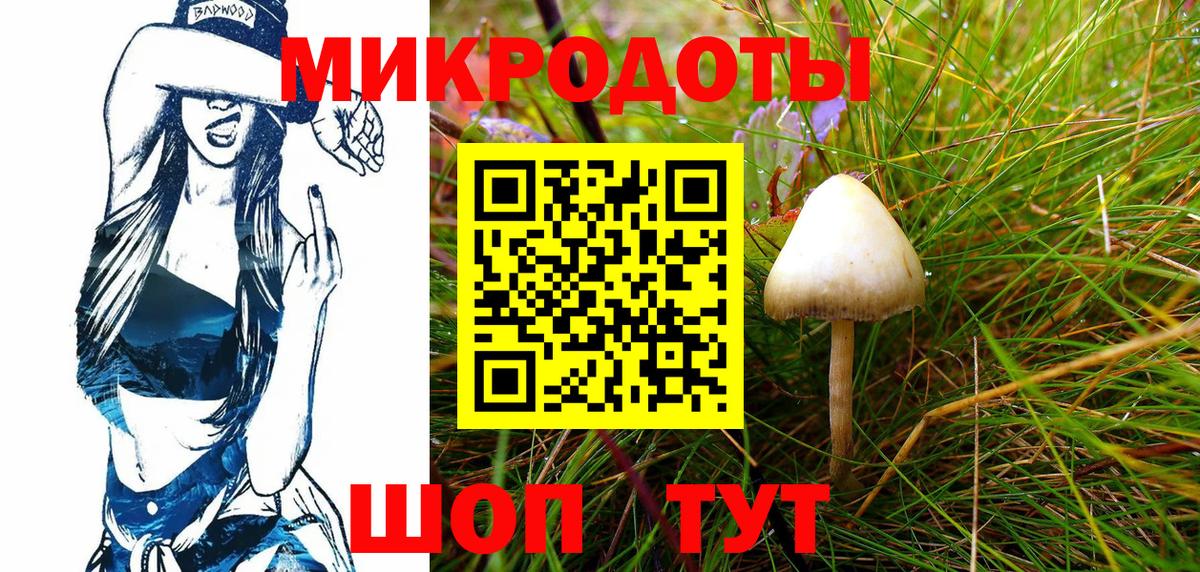 Галлюциногенные грибы GOLDEN TEACHER  Псилоцибиновые грибы мицелий  Вход с VPN  Вичуга 