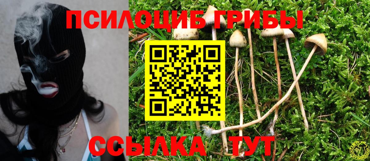 Псилоцибиновые грибы прущие грибы Вичуга